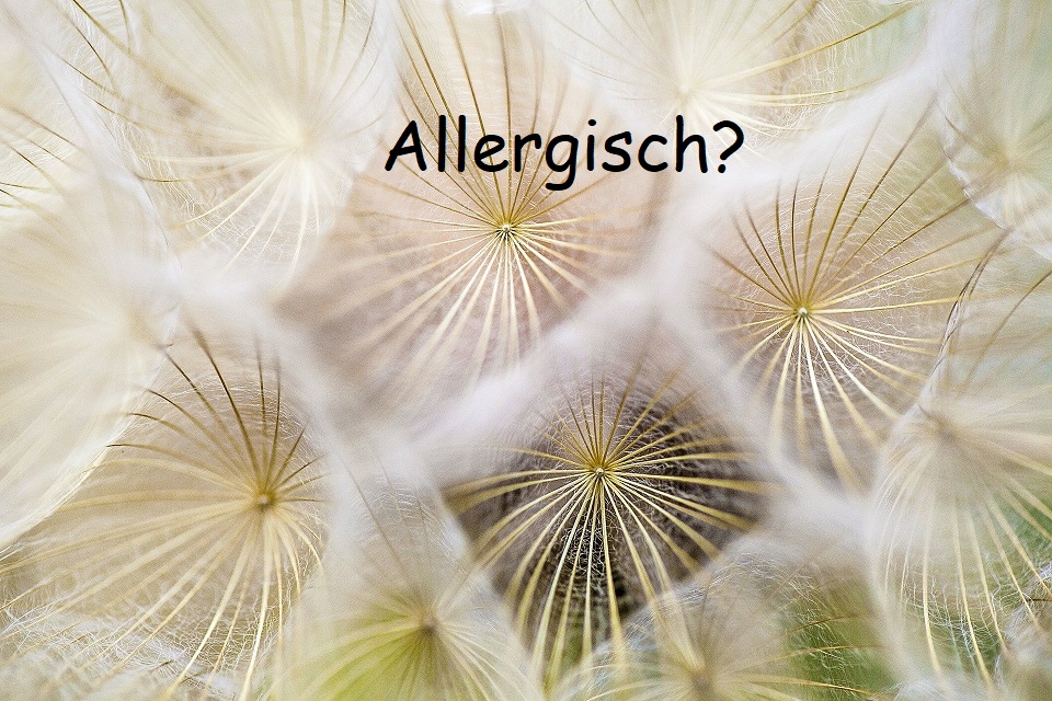 Allergische reactie
