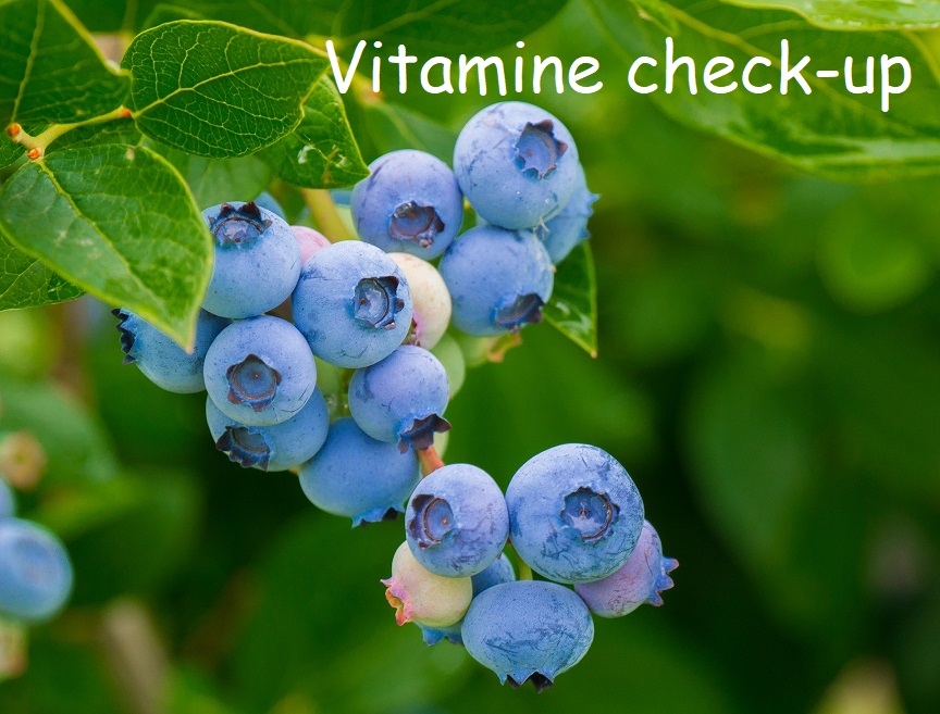 Vitamine check-up
